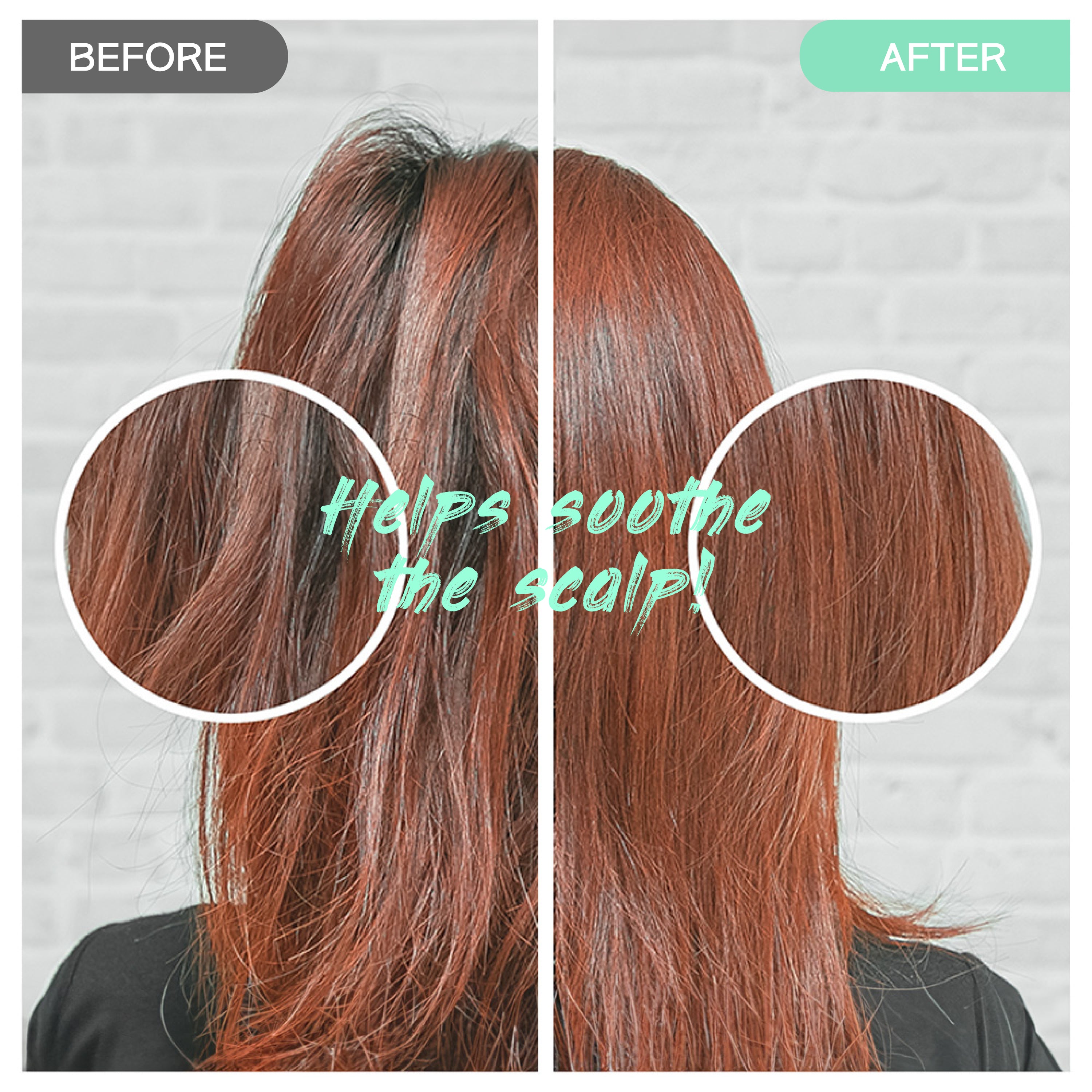 Centella Shampoo Bar