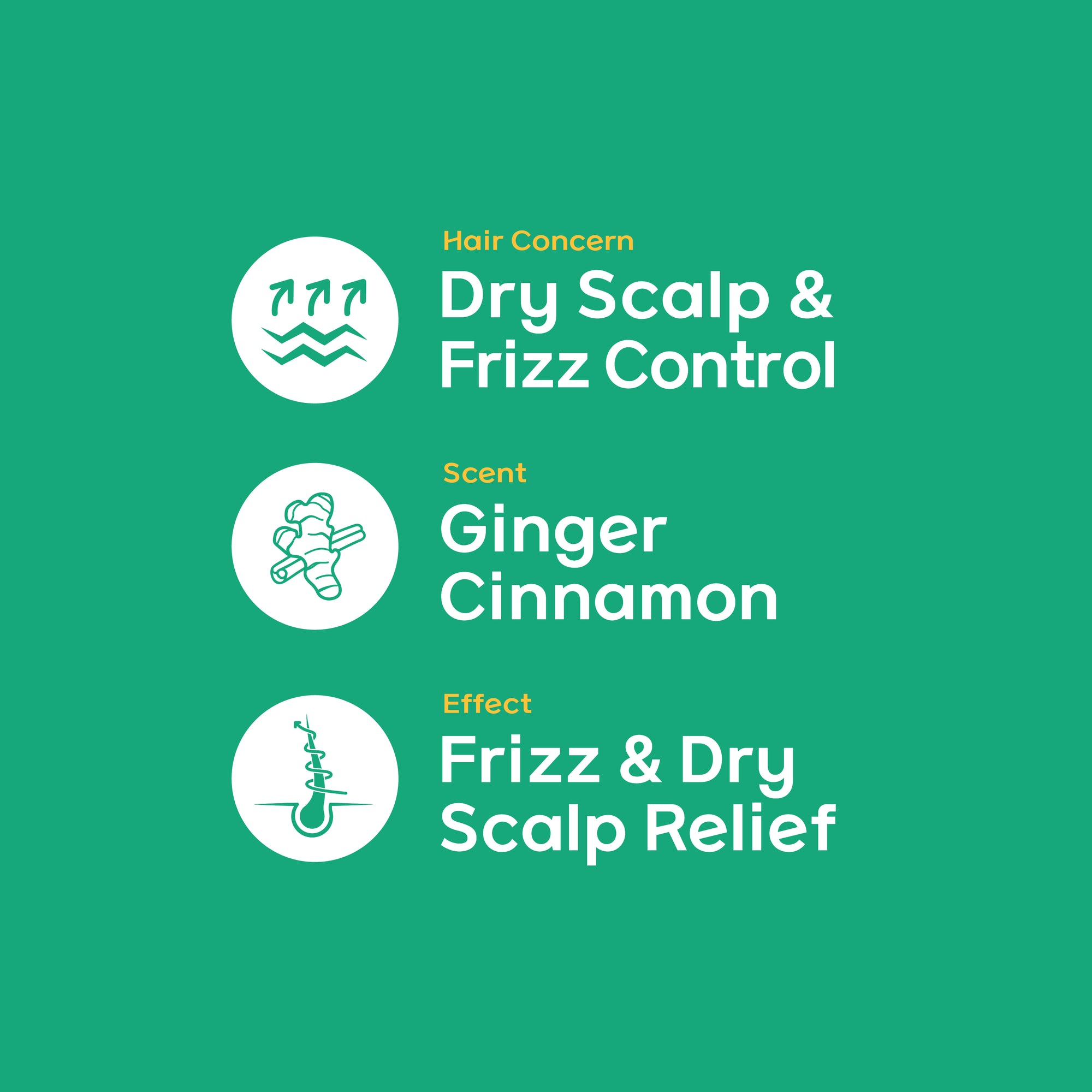 Dry Scalp & Frizz Control 2-Pack