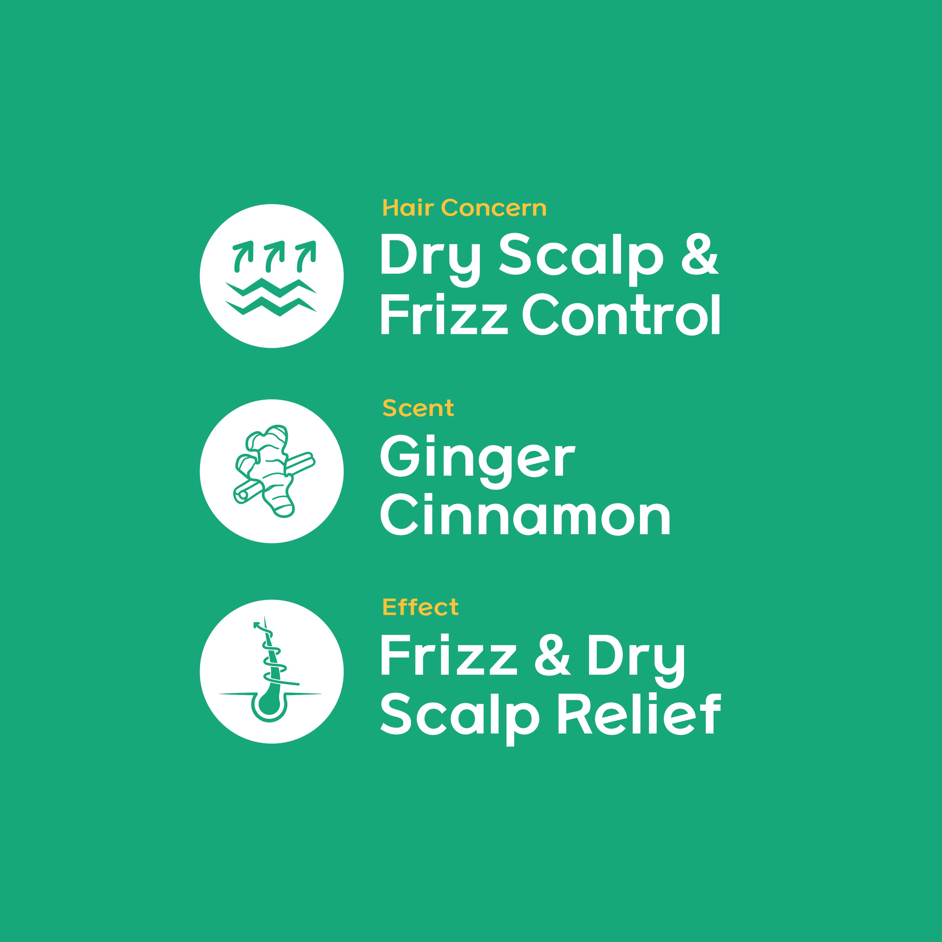 Dry Scalp & Frizz Control 2-Pack